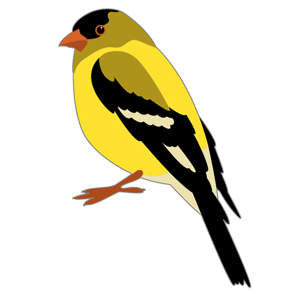 goldfinch-600-white